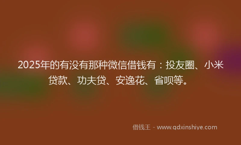 2025年的有没有那种微信借钱有：投友圈、小米贷款、功夫贷、安逸花、省呗等。