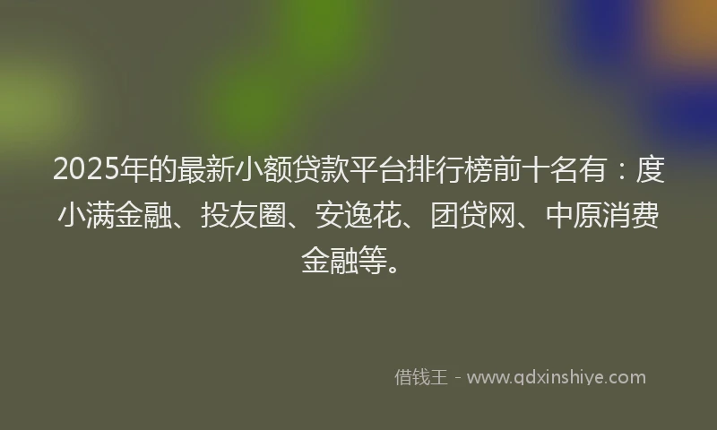 2025年的最新小额贷款平台排行榜前十名有：度小满金融、投友圈、安逸花、团贷网、中原消费金融等。