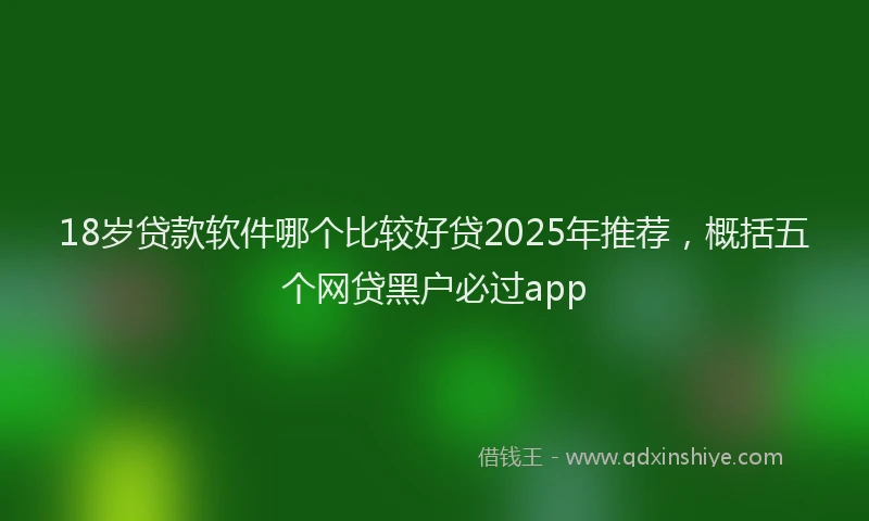 18岁贷款软件哪个比较好贷2025年推荐，概括五个网贷黑户必过app