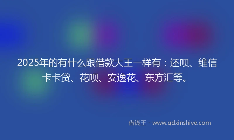 2025年的有什么跟借款大王一样有：还呗、维信卡卡贷、花呗、安逸花、东方汇等。