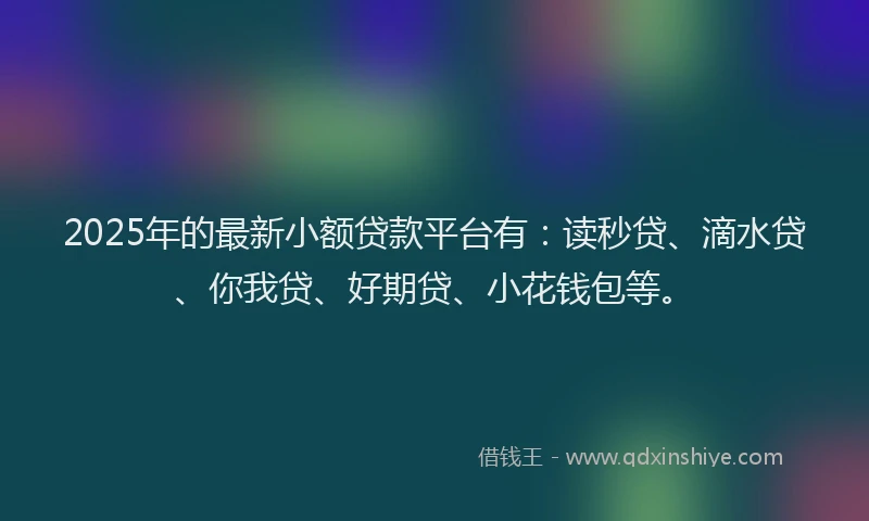 2025年的最新小额贷款平台有：读秒贷、滴水贷、你我贷、好期贷、小花钱包等。