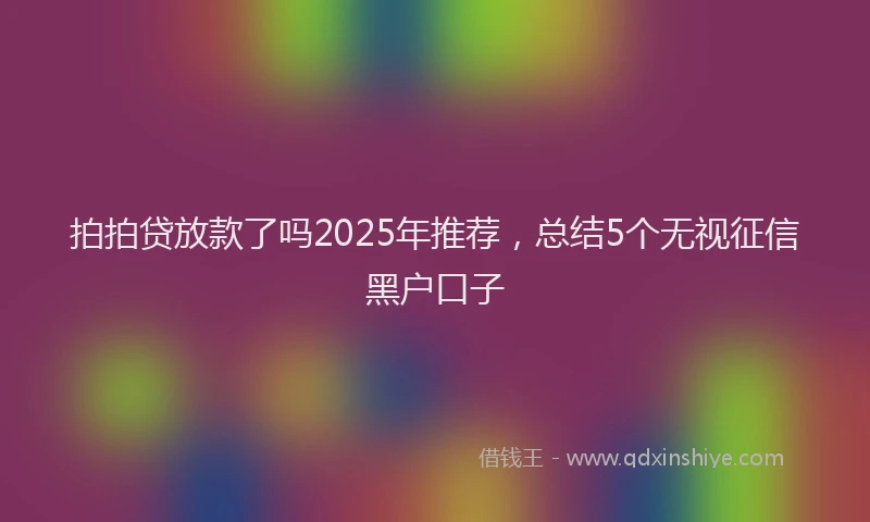拍拍贷放款了吗2025年推荐，总结5个无视征信黑户口子