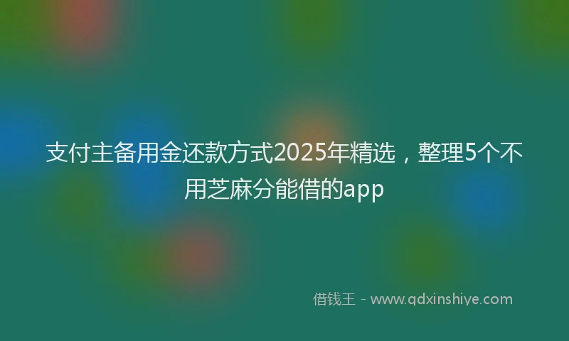 支付主备用金还款方式2025年精选，整理5个不用芝麻分能借的app