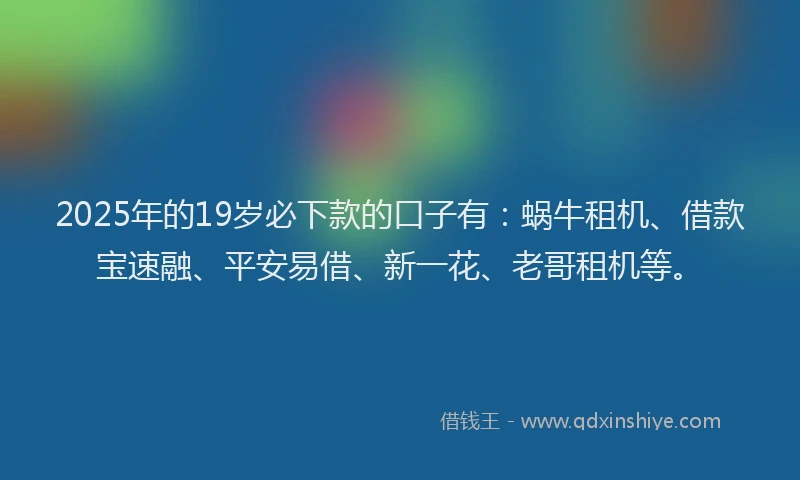 2025年的19岁必下款的口子有：蜗牛租机、借款宝速融、平安易借、新一花、老哥租机等。