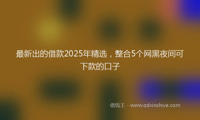 最新出的借款2025年精选，整合5个网黑夜间可下款的口子