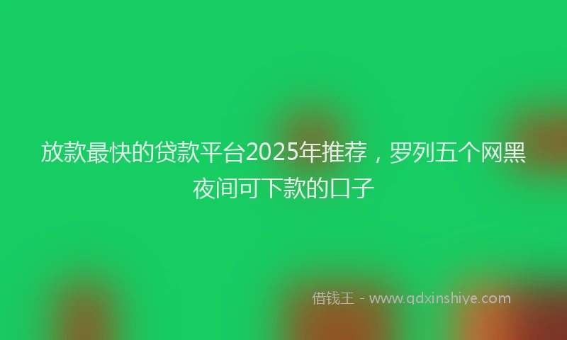 放款最快的贷款平台2025年推荐，罗列五个网黑夜间可下款的口子