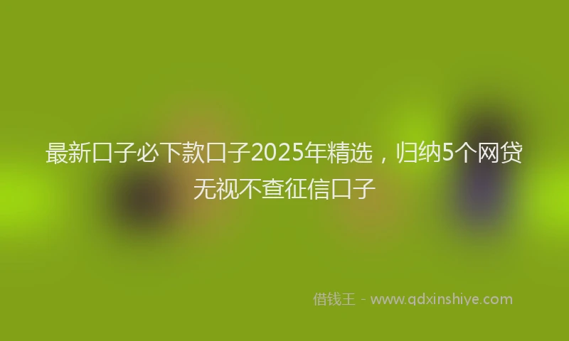 最新口子必下款口子2025年精选，归纳5个网贷无视不查征信口子
