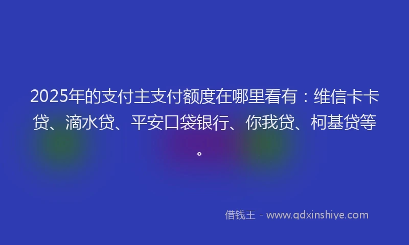 2025年的支付主支付额度在哪里看有：维信卡卡贷、滴水贷、平安口袋银行、你我贷、柯基贷等。