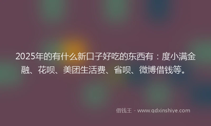 2025年的有什么新口子好吃的东西有：度小满金融、花呗、美团生活费、省呗、微博借钱等。