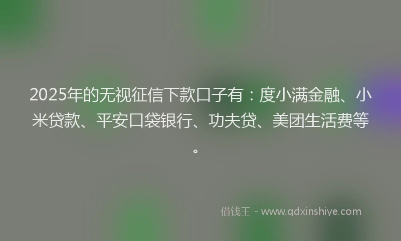 2025年的无视征信下款口子有：度小满金融、小米贷款、平安口袋银行、功夫贷、美团生活费等。