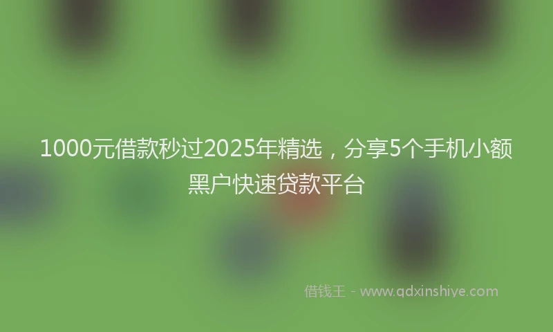 1000元借款秒过2025年精选，分享5个手机小额黑户快速贷款平台