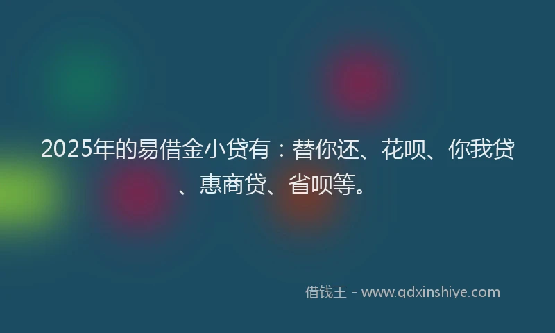2025年的易借金小贷有：替你还、花呗、你我贷、惠商贷、省呗等。