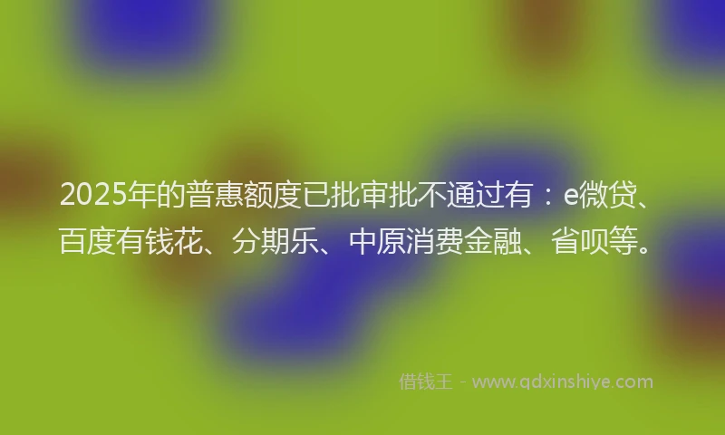 2025年的普惠额度已批审批不通过有：e微贷、百度有钱花、分期乐、中原消费金融、省呗等。