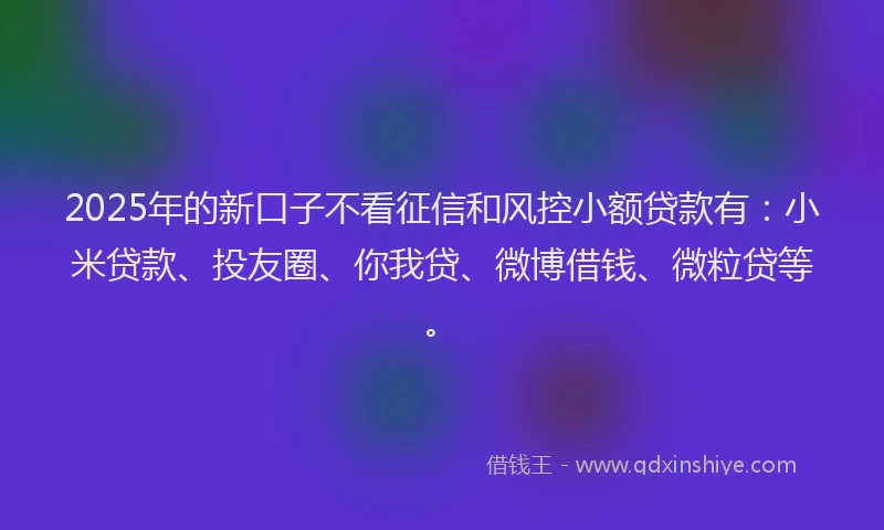 2025年的新口子不看征信和风控小额贷款有：小米贷款、投友圈、你我贷、微博借钱、微粒贷等。