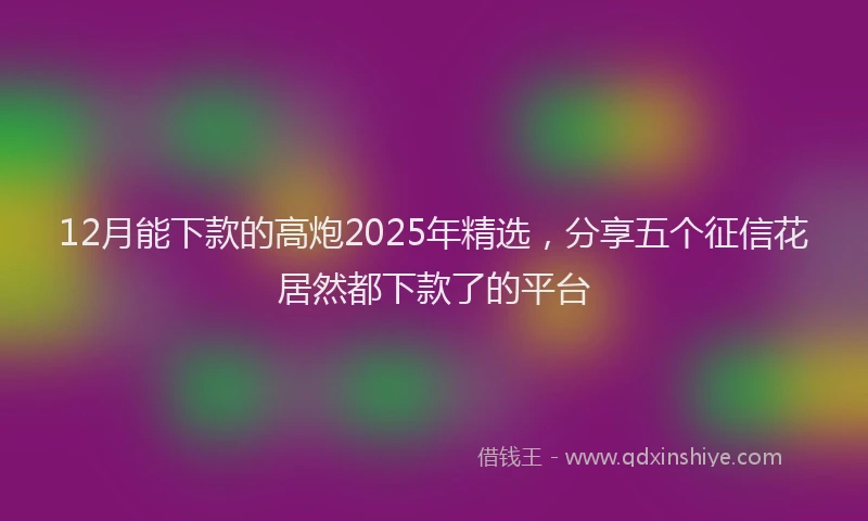 12月能下款的高炮2025年精选，分享五个征信花居然都下款了的平台