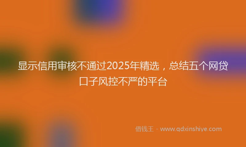 显示信用审核不通过2025年精选，总结五个网贷口子风控不严的平台