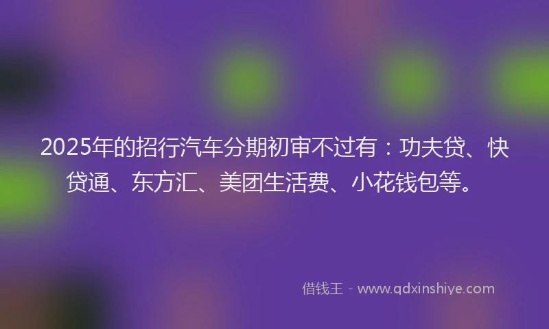 2025年的招行汽车分期初审不过有：功夫贷、快贷通、东方汇、美团生活费、小花钱包等。