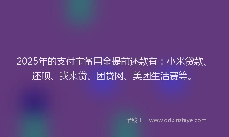 2025年的支付宝备用金提前还款有：小米贷款、还呗、我来贷、团贷网、美团生活费等。