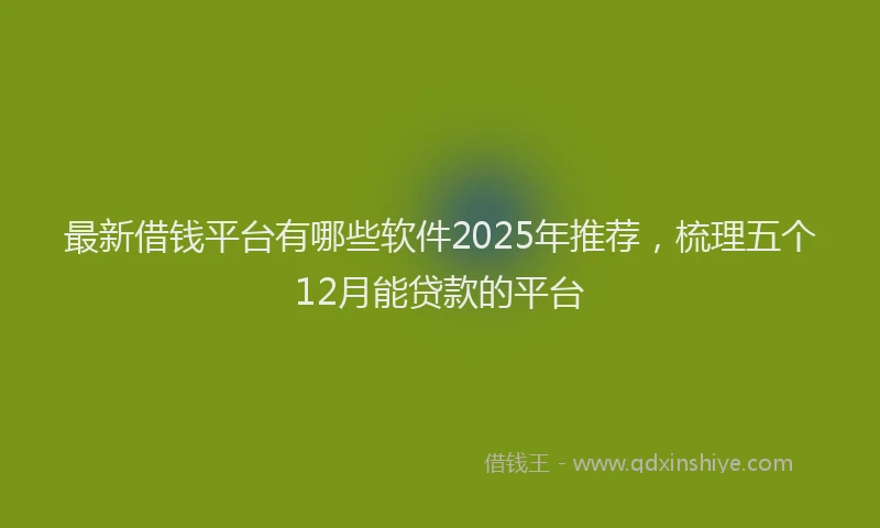 最新借钱平台有哪些软件2025年推荐，梳理五个12月能贷款的平台