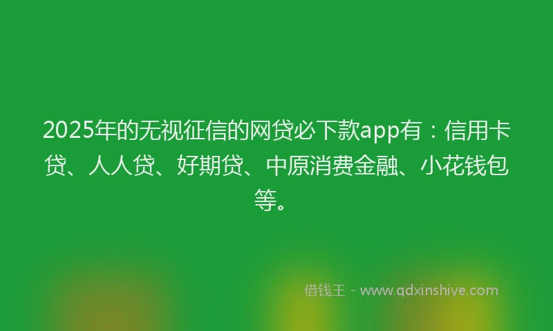 2025年的无视征信的网贷必下款app有：信用卡贷、人人贷、好期贷、中原消费金融、小花钱包等。