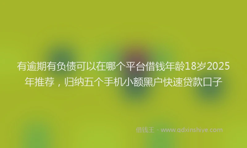 有逾期有负债可以在哪个平台借钱年龄18岁2025年推荐，归纳五个手机小额黑户快速贷款口子