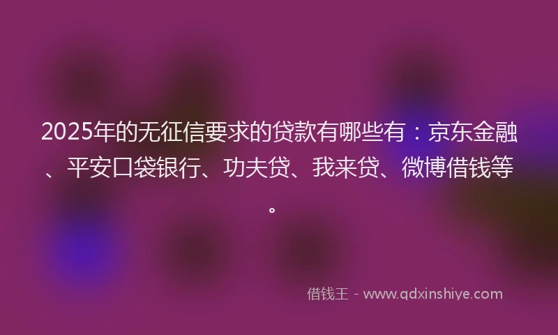 2025年的无征信要求的贷款有哪些有：京东金融、平安口袋银行、功夫贷、我来贷、微博借钱等。