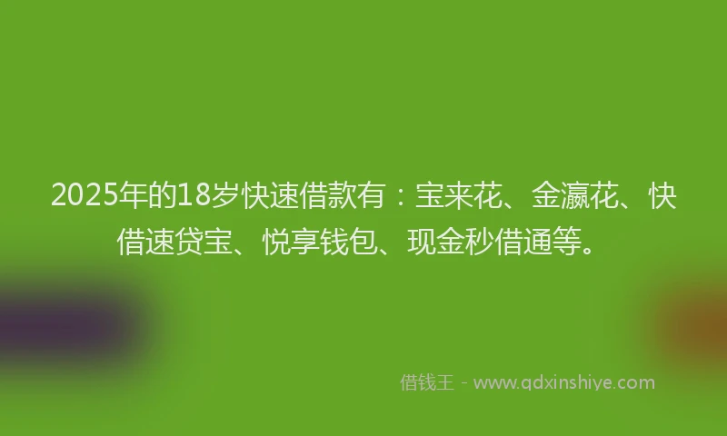 2025年的18岁快速借款有：宝来花、金瀛花、快借速贷宝、悦享钱包、现金秒借通等。
