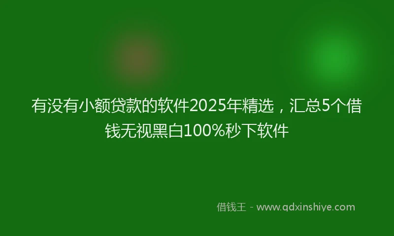 有没有小额贷款的软件2025年精选，汇总5个借钱无视黑白100%秒下软件