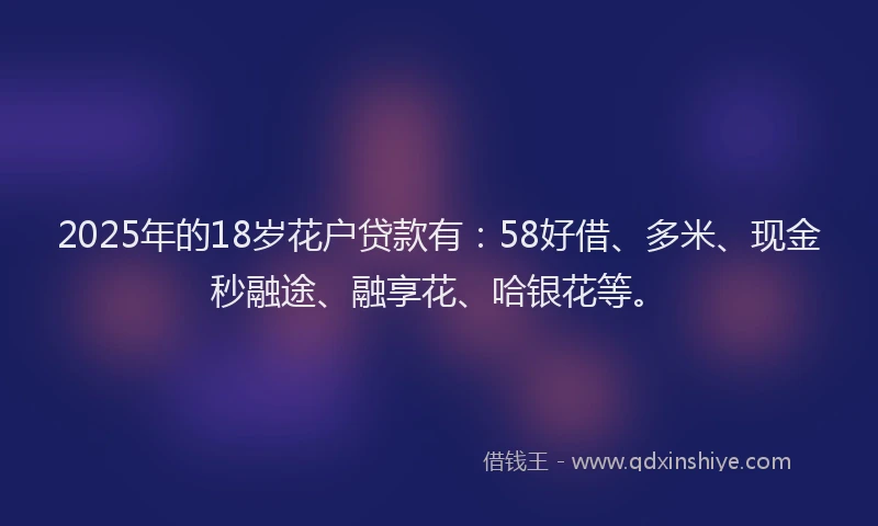 2025年的18岁花户贷款有：58好借、多米、现金秒融途、融享花、哈银花等。