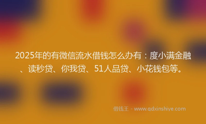 2025年的有微信流水借钱怎么办有：度小满金融、读秒贷、你我贷、51人品贷、小花钱包等。
