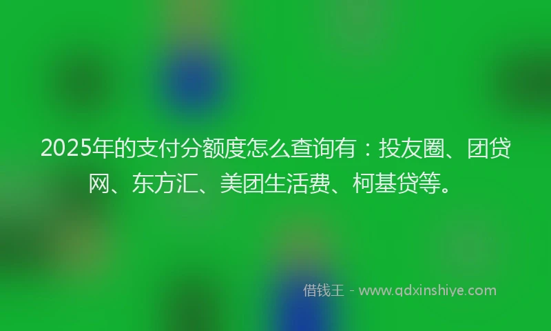 2025年的支付分额度怎么查询有：投友圈、团贷网、东方汇、美团生活费、柯基贷等。