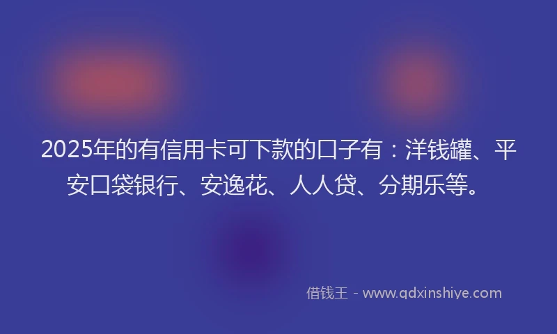 2025年的有信用卡可下款的口子有：洋钱罐、平安口袋银行、安逸花、人人贷、分期乐等。