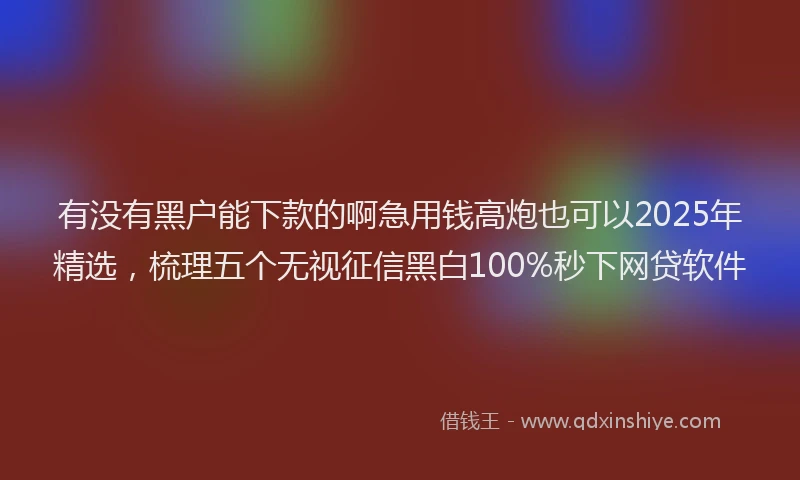 有没有黑户能下款的啊急用钱高炮也可以2025年精选，梳理五个无视征信黑白100%秒下网贷软件