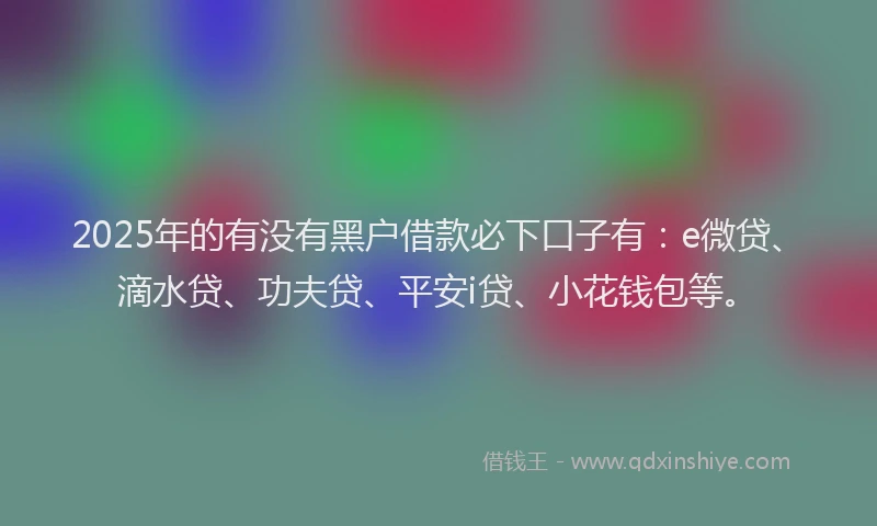 2025年的有没有黑户借款必下口子有：e微贷、滴水贷、功夫贷、平安i贷、小花钱包等。