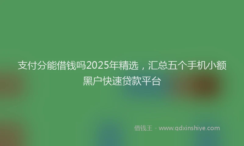 支付分能借钱吗2025年精选，汇总五个手机小额黑户快速贷款平台