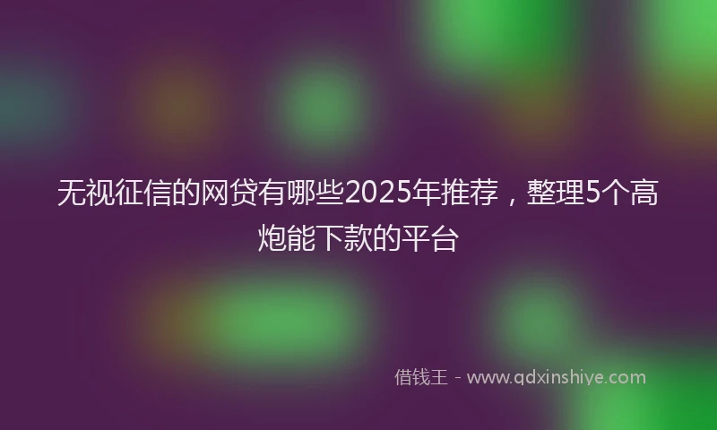 无视征信的网贷有哪些2025年推荐，整理5个高炮能下款的平台