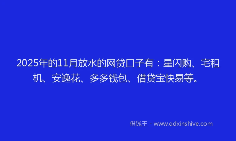 2025年的11月放水的网贷口子有：星闪购、宅租机、安逸花、多多钱包、借贷宝快易等。