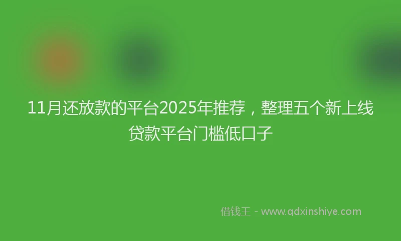 11月还放款的平台2025年推荐，整理五个新上线贷款平台门槛低口子