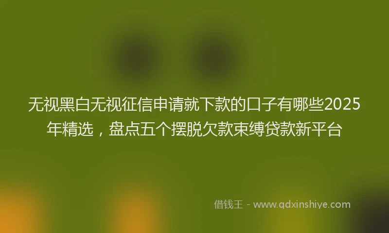 无视黑白无视征信申请就下款的口子有哪些2025年精选，盘点五个摆脱欠款束缚贷款新平台