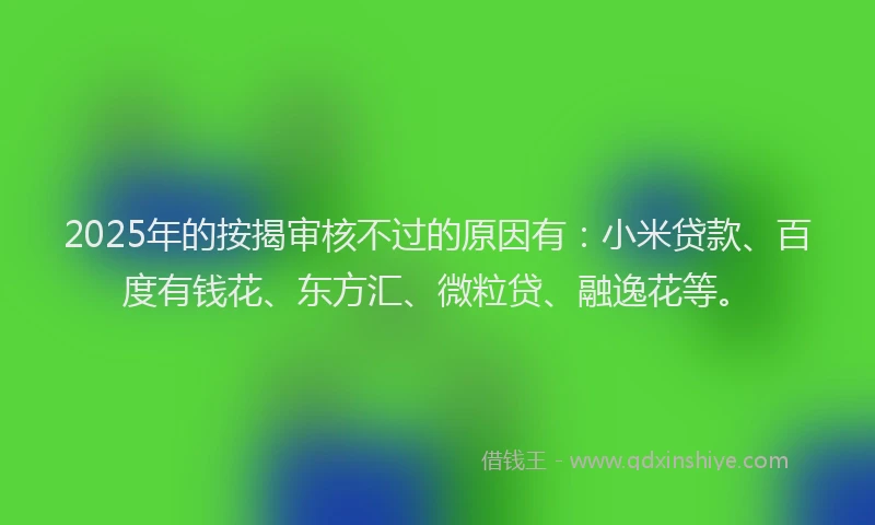 2025年的按揭审核不过的原因有：小米贷款、百度有钱花、东方汇、微粒贷、融逸花等。