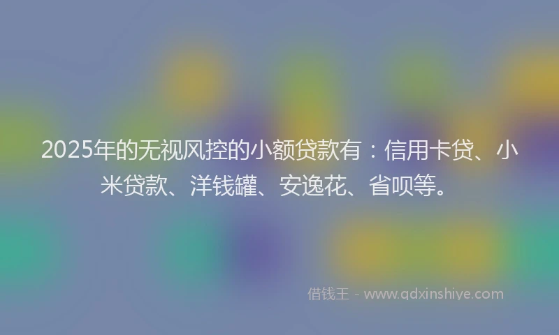 2025年的无视风控的小额贷款有：信用卡贷、小米贷款、洋钱罐、安逸花、省呗等。