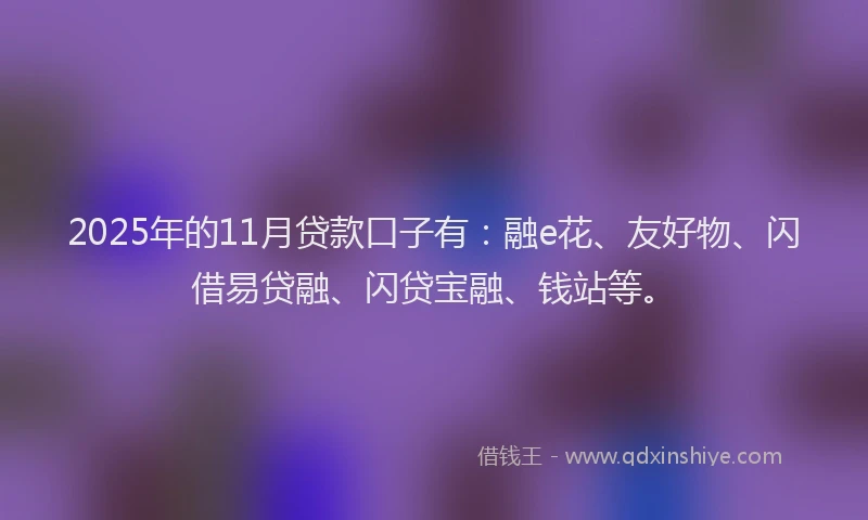 2025年的11月贷款口子有：融e花、友好物、闪借易贷融、闪贷宝融、钱站等。