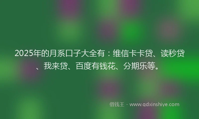 2025年的月系口子大全有：维信卡卡贷、读秒贷、我来贷、百度有钱花、分期乐等。