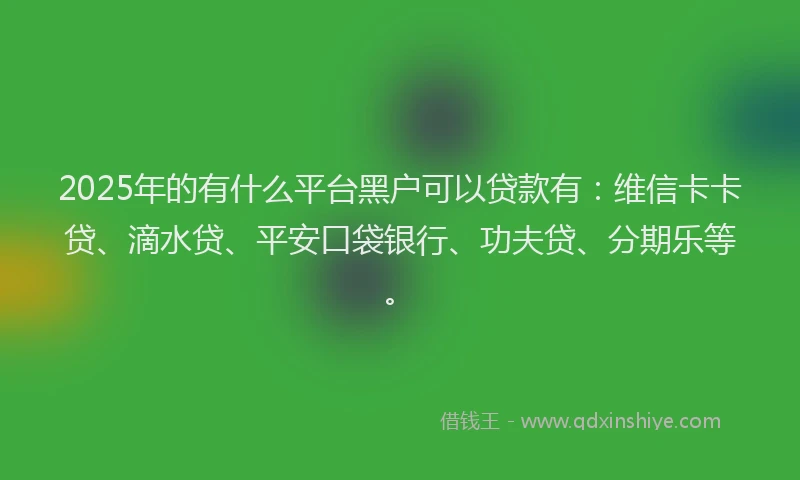 2025年的有什么平台黑户可以贷款有：维信卡卡贷、滴水贷、平安口袋银行、功夫贷、分期乐等。