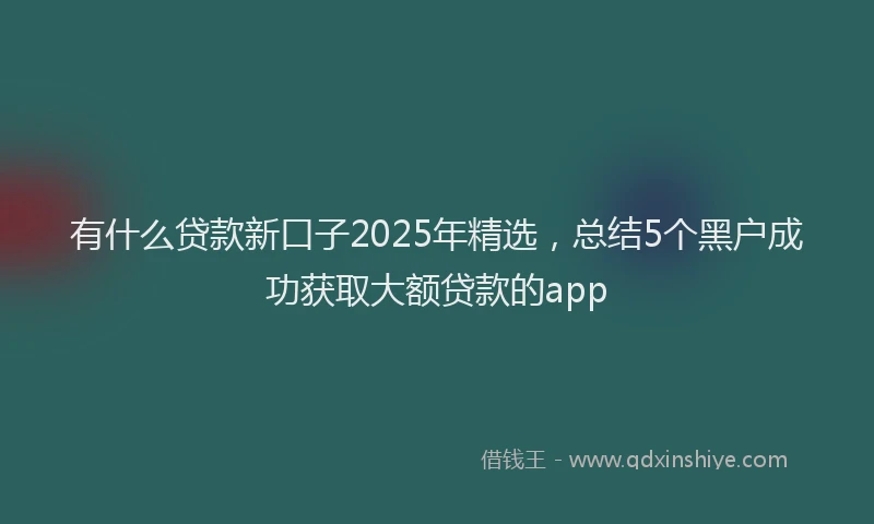 有什么贷款新口子2025年精选，总结5个黑户成功获取大额贷款的app