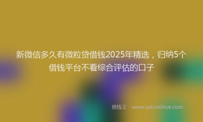 新微信多久有微粒贷借钱2025年精选，归纳5个借钱平台不看综合评估的口子