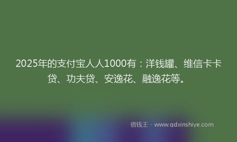 2025年的支付宝人人1000有：洋钱罐、维信卡卡贷、功夫贷、安逸花、融逸花等。