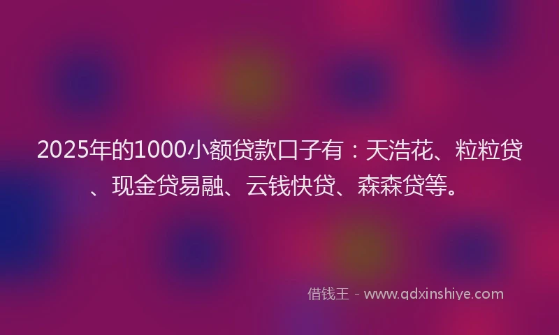 2025年的1000小额贷款口子有：天浩花、粒粒贷、现金贷易融、云钱快贷、森森贷等。