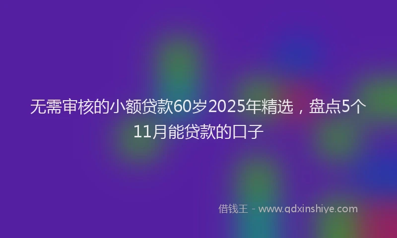 无需审核的小额贷款60岁2025年精选，盘点5个11月能贷款的口子