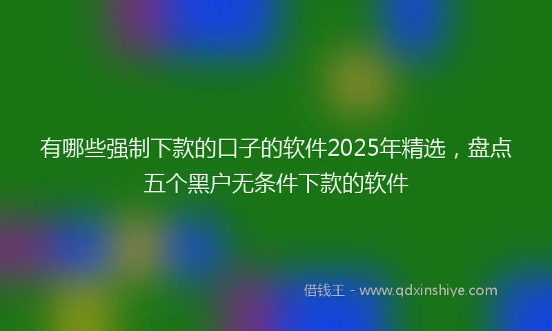 有哪些强制下款的口子的软件2025年精选，盘点五个黑户无条件下款的软件
